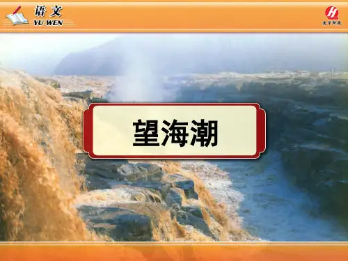 《望海潮》(东南形胜)课件解析