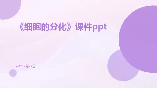 《细胞的分化》课件ppt