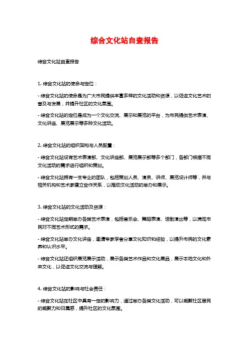 综合文化站自查报告 (2)
