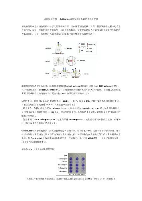细胞粘附检测丨Cell Biolabs细胞粘附分析试剂盒解决方案