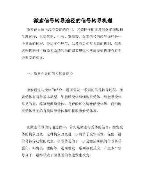 激素信号转导途径的信号转导机理