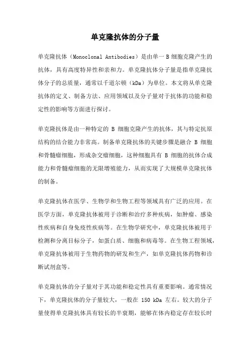 单克隆抗体的分子量