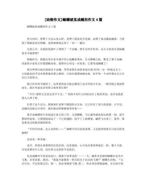 [动物作文]蝴蝶破茧成蝶的作文4篇