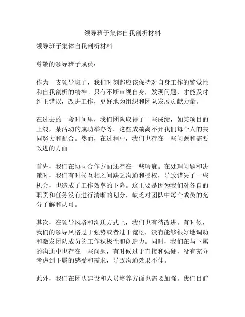 领导班子集体自我剖析材料