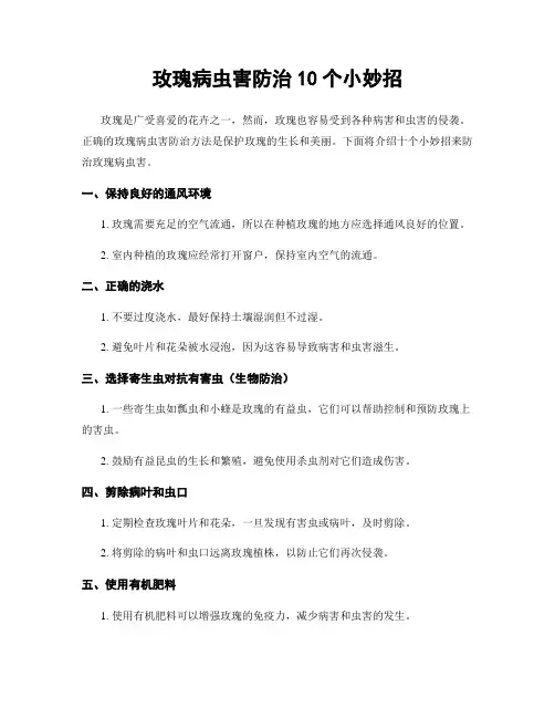 玫瑰病虫害防治10个小妙招