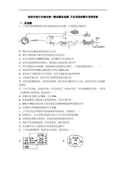 桂林市高中生物必修一测试题多选题 不定项选择题专项附答案