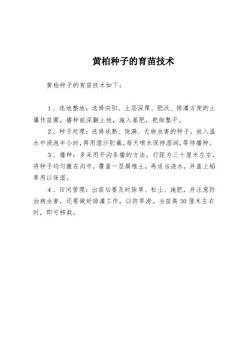 黄柏种子的育苗技术