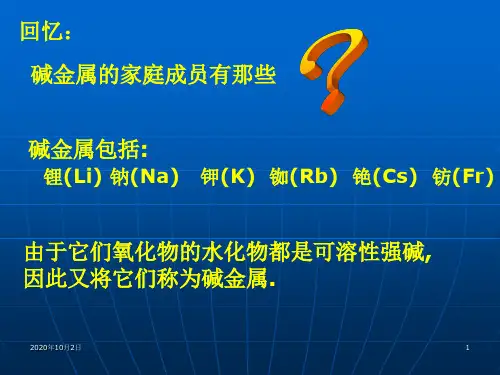 碱金属元素PPT课件