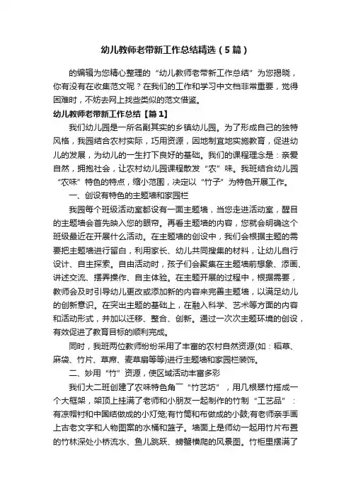 幼儿教师老带新工作总结精选（5篇）