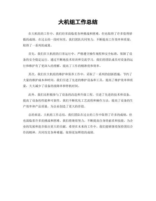 大机组工作总结