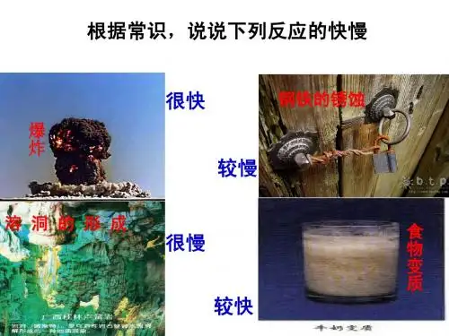 第一单元《化学反应速率》ppt课件