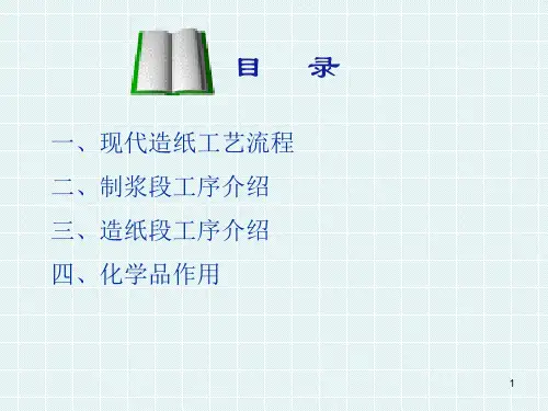 造纸工艺流程培训ppt课件