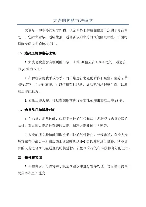 大麦的种植方法范文