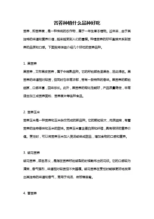 苦荞种植什么品种好吃