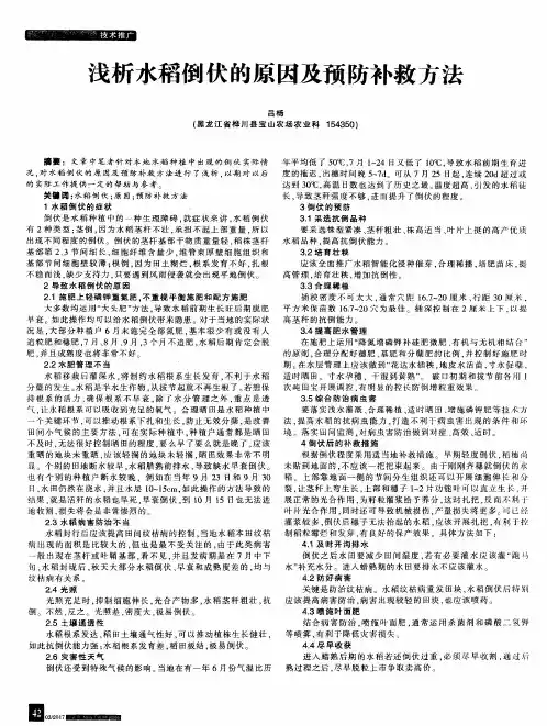 浅析水稻倒伏的原因及预防补救方法