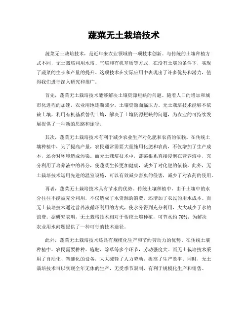 蔬菜无土栽培技术
