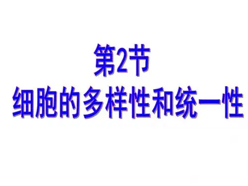人教版高中生物必修一第一章1.2细胞的多样性和统一性教学课件共39张PPT