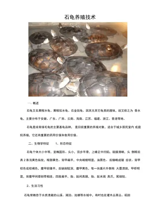 石龟养殖技术