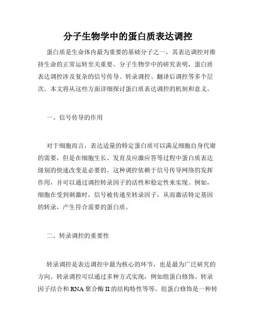 分子生物学中的蛋白质表达调控