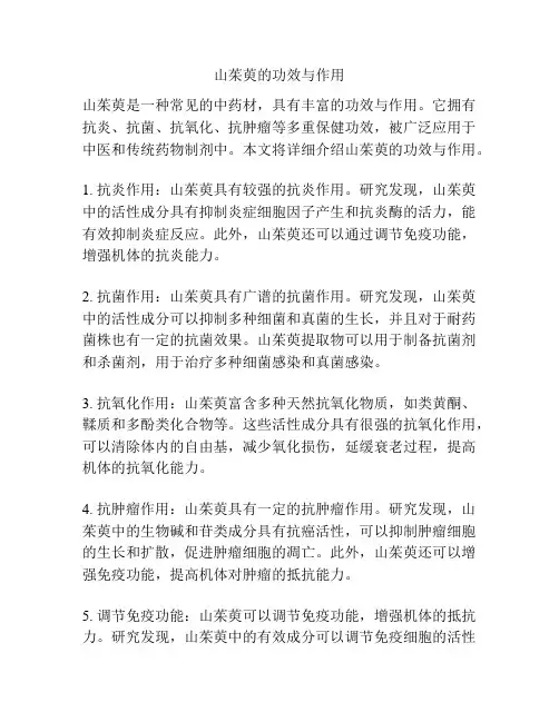 山茱萸的功效与作用