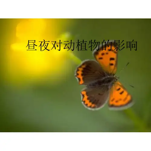 苏教版小学科学五年级上册5《昼夜对动植物的影响》ppt课件