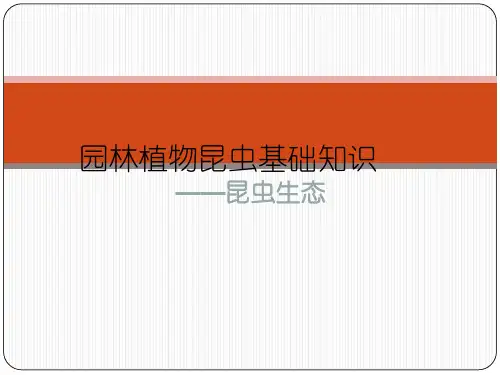 昆虫基础之昆虫生态学ppt课件