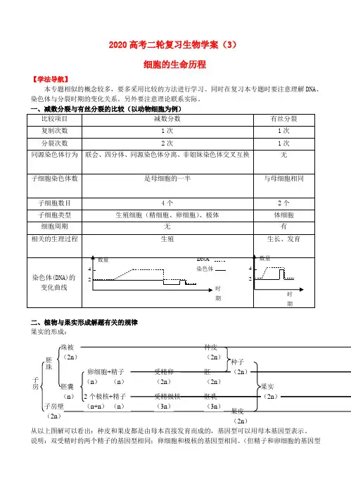 2020高考生物二轮复习 细胞的生命历程学案 精品