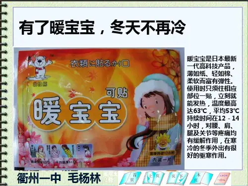 暖宝宝化学成分与原理探究定性、定量实验设计与评价