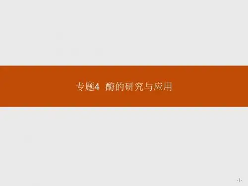 人教版生物选修一课件 4.1 专题4 酶的研究与应用