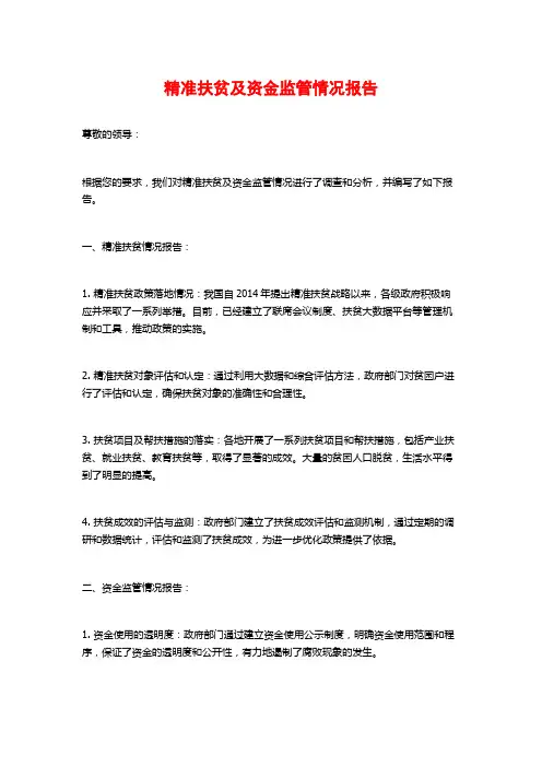 精准扶贫及资金监管情况报告