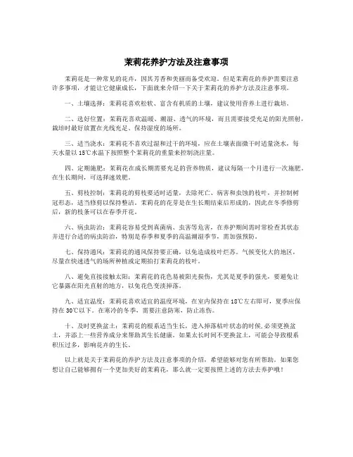 茉莉花养护方法及注意事项