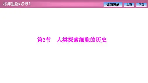 2019-2020学年北师大版高中生物必修1课件：第1章  第2节 人类探索细胞的历史