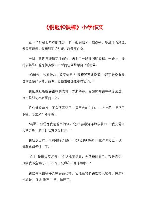 《钥匙和铁棒》小学作文