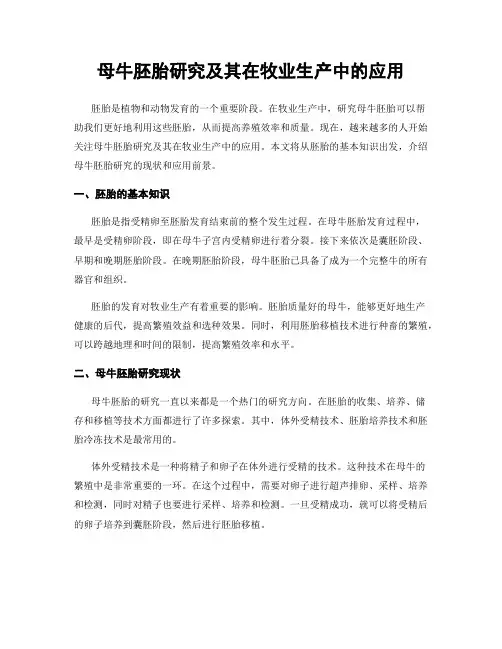 母牛胚胎研究及其在牧业生产中的应用