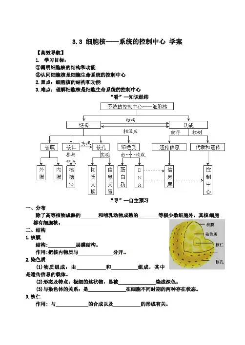 人教版高中生物必修1导学案：3.3-细胞核——系统的控制中心