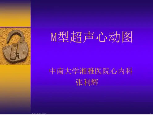 M型超声心动图PPT课件