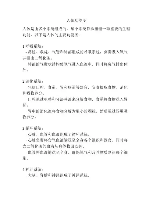 人体功能图