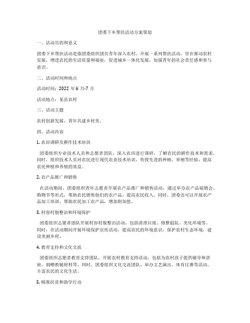 团委下乡帮扶活动方案策划