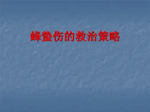 蜂蛰伤PPT课件