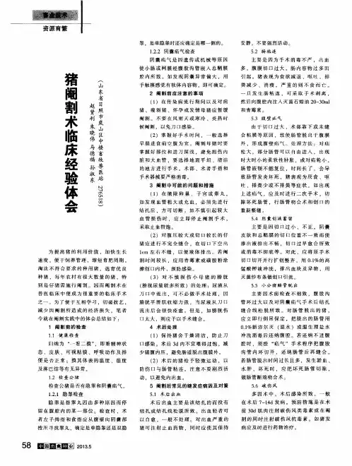 猪阉割术临床经验体会