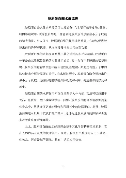胶原蛋白酶水解原理