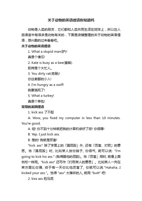 关于动物的英语俚语你知道吗