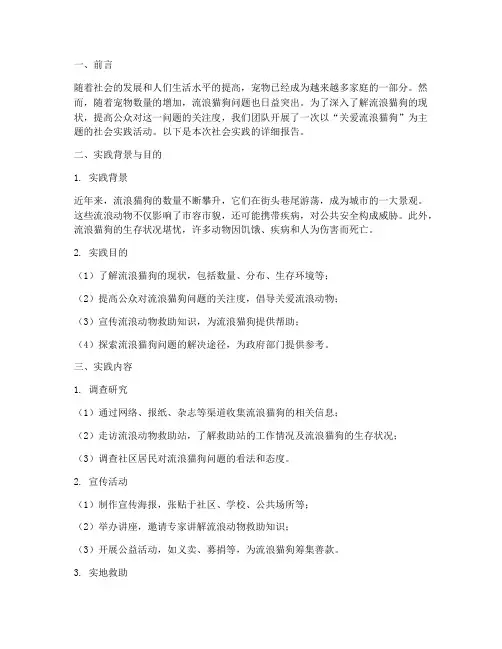 社会实践报告流浪猫狗