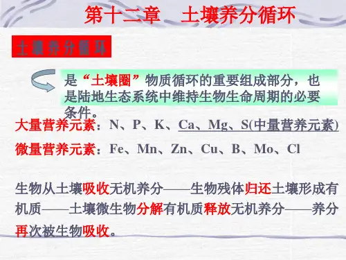 土壤养分循环
