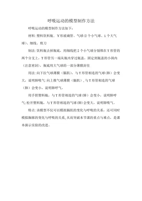呼吸运动的模型制作方法