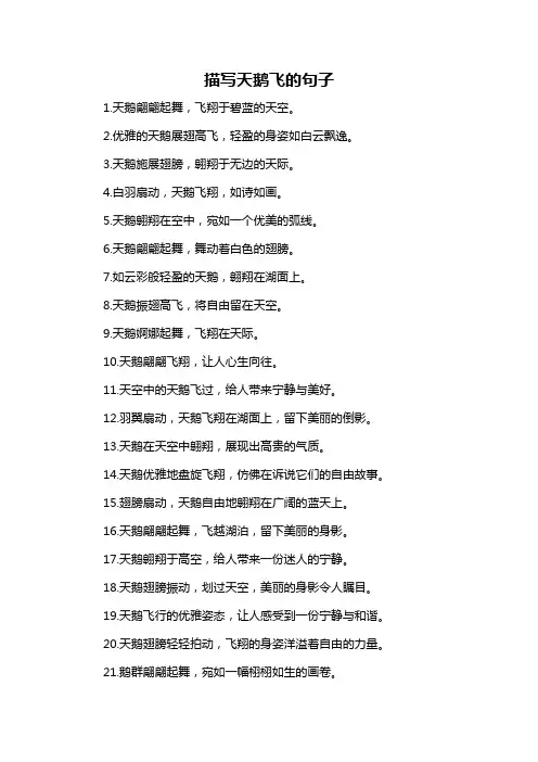 描写天鹅飞的句子