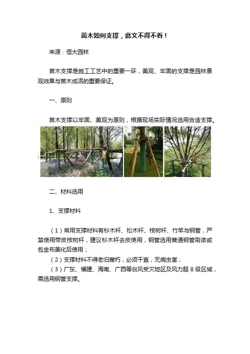 苗木如何支撑，此文不得不看！