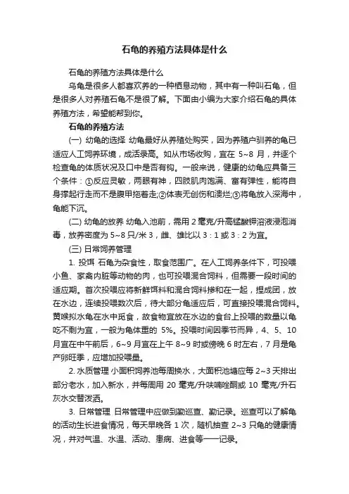 石龟的养殖方法具体是什么