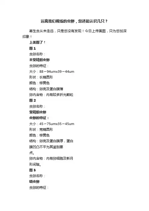 远离我们视线的虫卵，您还能认识几只？