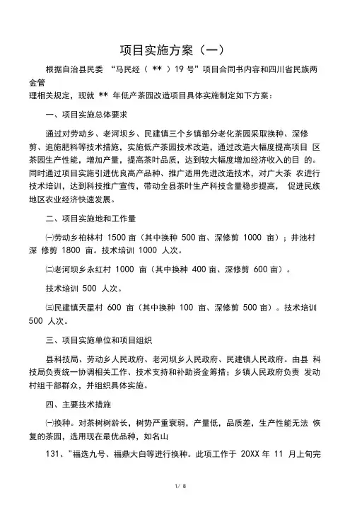 项目总体实施方案